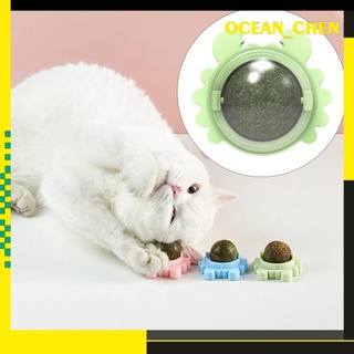 [ocean_chen] Bolas De Catnip Giratorio Interactivo Saludable Para Gatito Masticar Juguetes Dientes Rectificado Juego