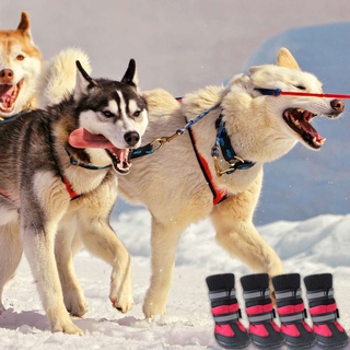 Juego de 4 zapatos antideslizantes para mascotas, perros, impermeables, botas de nieve para perros pequeños medianos, grandes (8)