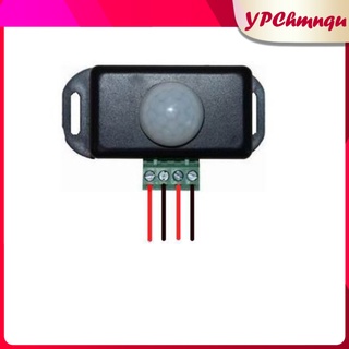 Compatible DC 12V~24V 8A Automatic LED PIR Motion Sensor Switch Human Body Infrared Activated Light Switch for DIY Light