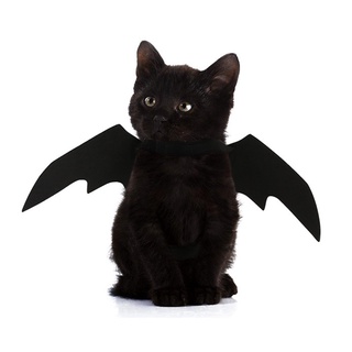 Mascota perro gato murciélago ala Cosplay Prop Halloween murciélago disfraz disfraz alas (4)