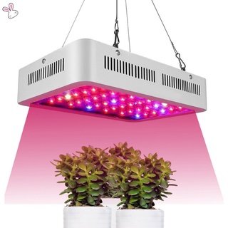 Hermosa lámpara de crecimiento Led de plantas crecientes 1000w Espectro Completo Para vegetales Flores Frutas