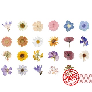 46 Flowers Hand Account Sealing Stickers D9U0