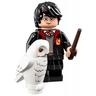 Minifiguras lego serie Harry Potter-Hogwarts asistente minifiguras serie 1