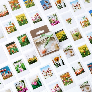 Box sticker tulip season creative and fresh hand tent decorative seal paste 46 pieces into