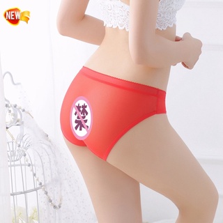 Women Sexy See Through Mesh Panties Lingerie Seamless Briefs Low Waist Underwear (3)