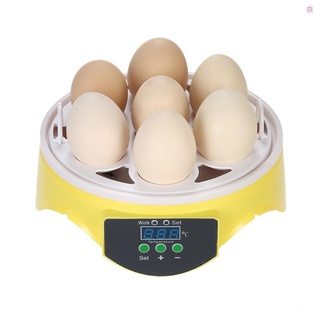 7 huevos mini incubadora digital de huevos incubadora transparente huevos incubadora automática control de temperatura para pollo pato pájaro huevos ac110v (3)