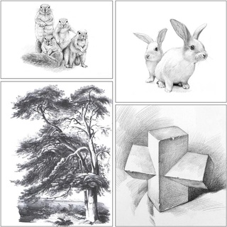 35 Piezas De Lápices De Dibujo Conjunto Profesional De Bocetos Caso De Transporte De Arte Suministros Kit (6)