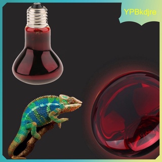 interior tortuga lagarto reptil terrario lámpara de calefacción e27 base luz de noche