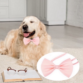 lindo Collar de nailon para mascotas/gatos/cachorros/cuello ajustable/campana/accesorios para animales