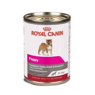 Royal Canin Puppy Lata 385 g - Alimento Húmedo Perro Cachorro