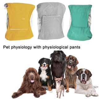 Reutilizable macho mascota perro pañal pantalones simples Menstrual sanitario pañal mascotas suministro