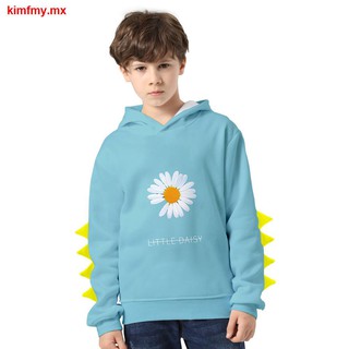 2021 Men s and Women s Children s Dinosaur Sweatshirt Little Daisy Digital Color Printing Plus Velvet Hooded Sweatshirt (3)