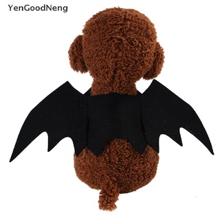 Yengoodneng lindo disfraz de gato de Halloween pequeño gato alas murciélago alas gato accesorios agradable compras