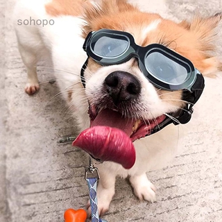Soshopo lentes De Sol Para perros pequeños/gafas De protección Para mascotas/gafas De Sol Para perros