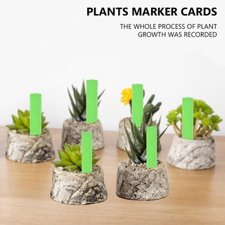 20 etiquetas de plástico para plantas, jardín, guardería, maceta, etiquetas de plántulas