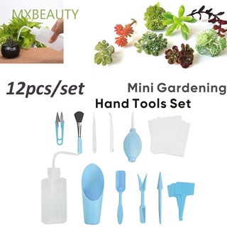 Mxbeauty Mini herramienta de plántulas fertilizante dispositivo de perforación de jardín maceta Kit de siembra Bonsai DIY combinación trasplante suculenta herramienta de plantación