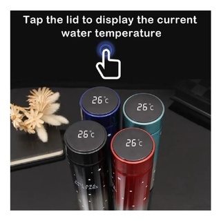 Thermo Botella Inteligente 500ml Pantalla Digital Led con infusor para te Incluido