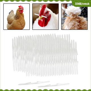 [VEUK] 1000Pcs Chicken Nose Bolt Poultry Supplies Hen feed Avoid Grabbing Food for Chicken Rooster