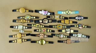 WWE Toy Cham pionship belt wrestler 6 inch 7 inch action figure accessories Gold belt