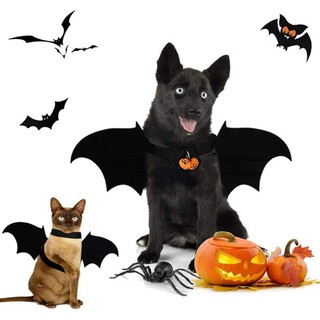 Disfraz De Halloween De Halloween Para perros/Gatos gatitos cachorros negros alas De murciélago Para fiesta De Halloween