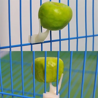 Loros aves suministros mascotas suministros pequeño tenedor de frutas colgando en la jaula de la tarjeta (1)