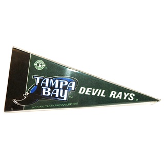 Tampa Bay Devil Rays Retro Mini Banderín Con Display Belitan Acrílico