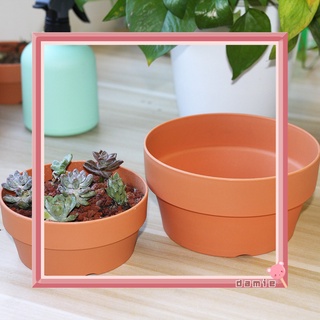 DM|Ready Succulent Flower Pot Mini Potted Plants Planters Office Decoration Garden Home Accessories (7)