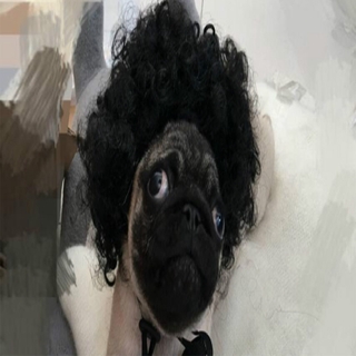 Pet Dog Cat Straight Curly Wig Hair Cosplay Costume Headdress Decoration (1)