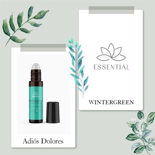 Aceite esencial de Wintergreen / Gaulteria en roll on Essential grado terapeutico puro aromaterapia 10 ml para dolores (6)