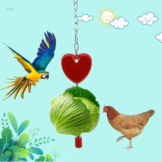 lucky bird treat titular loro alimentador juguete colgante herramienta de alimentación broche de frutas para jaula