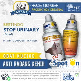 Detener la medicina urinaria Anti inflamación vejiga gato | Medicina para infecciones de vejiga gato