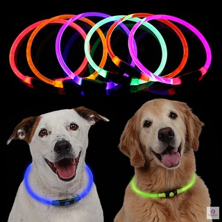 LED Collar de perro luz brillante cachorro seguridad nocturna collares para mascotas pequeños medianos grandes perros