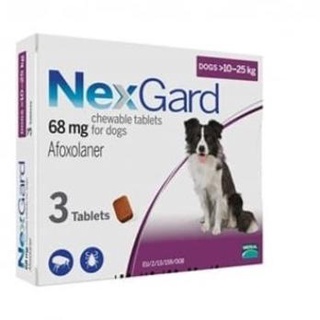Medicina de pulgas y Demodex para perros (Nexgard talla L perro 10-25 Kg)
