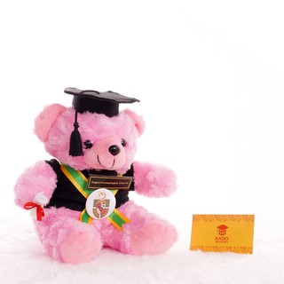 Oso de peluche de graduación rosa suave 25 cm regalo de graduación