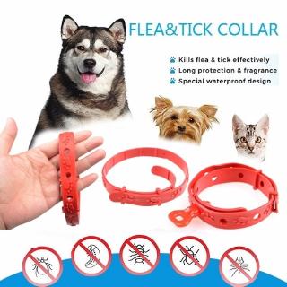 (En Stock) Collar De Mascotas Efectivo Anti Pulgas , Garrapatas Y Mosquitos Para Perros De 1 Año , Gatos
