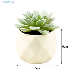 [astart] plantas suculentas multicolores en maceta de cerámica blanca suculentas artificiales con macetas para el hogar (5)