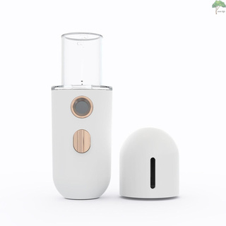VIVID Facial Mist portátil vaporizador Facial hidratante niebla Facial USB recargable con tanque de agua de 12 ml