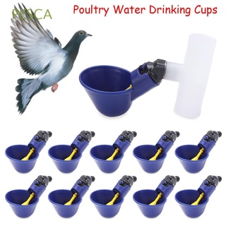 PESCA Granja Agua potable de plástico Gallinero Plástico Vaso de agua Piensos para aves Codorniz Automaticidad Nuevo producto Pollo