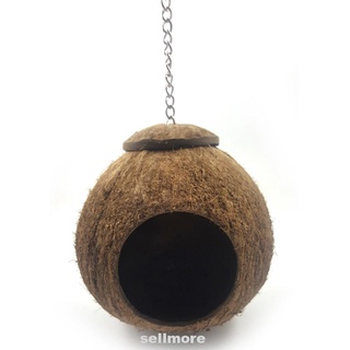Juguete pájaro concha de coco crianza Perching loro nido
