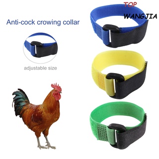 top 2pcs collar de pollo textura suave anti-cock cuervo ajustable anti-gancho gallo collar aves de corral suministros