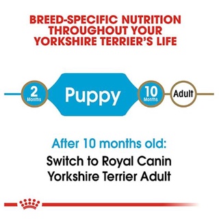 Royal Canin Croquetas para Yorkshire Terrier Puppy 1.13kg (4)