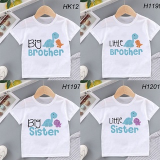 dinosaurio bis hermana gran hermano camiseta hermanos hermanas familia tema camisetas niños regalo niños moda