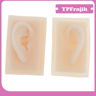 [Good] Pair of Human Left Right Ear Model Life Size Silicone Ear Acupuncture Practice Model, Great for Teaching, Learning