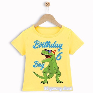 Playera/camiseta de dinosaurio con diseño de dinosaurio/camiseta para niños