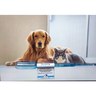 Repelente Antipulgas y Garrapatas para perros y gatos ANIKILL [Producto Original] ®