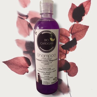 Shampoo Rapunzel Artesanal Para crecimiento, Reparación y Elimina caspa (1)