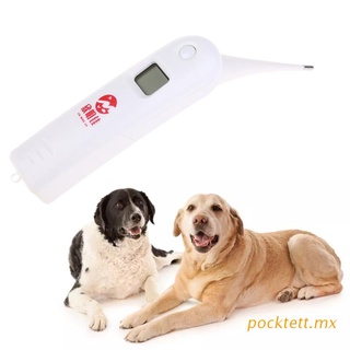 pockt termómetro digital veterinario profesional para animales animales rectal medición de temperatura corporal