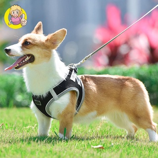 chaleco para perro, correa de estilo chaleco reflectante para mascotas, correa para el pecho, cuerda para cachorro, suministros transpirables y cómodos (8)