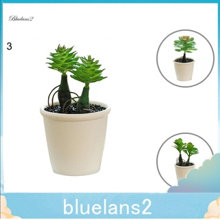 blue2 suculentas artificiales suculentas artificiales suculentas artificiales cactus bonsai colorfast para escritorio
