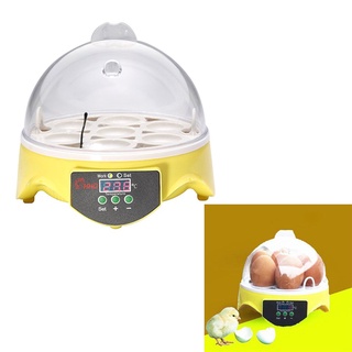Ae incubadora automática de 7 huevos con incubadora de pollo/Control de temperatura